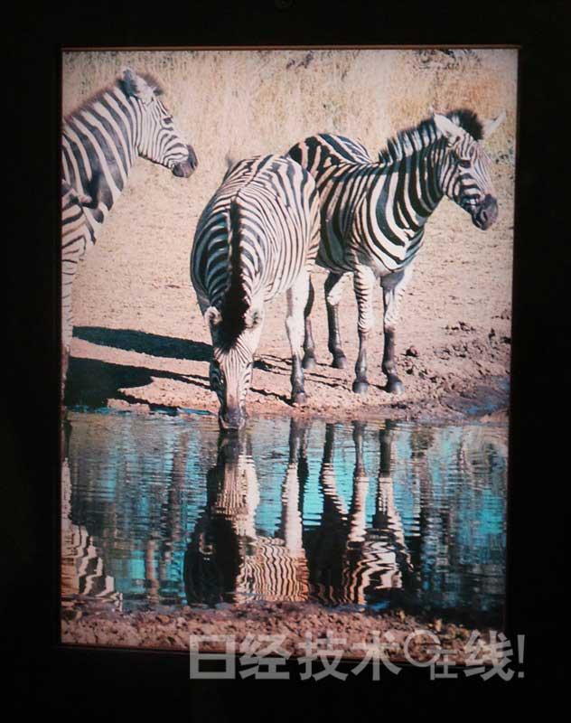 日本半導(dǎo)體能源研究所開發(fā)出“不傷眼顯示器”,信息顯示系統(tǒng),多媒體信息發(fā)布系統(tǒng),數(shù)字標(biāo)牌,digital signage