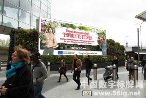 倫敦街頭上演可以拿鮮花的交互式戶外活動(dòng),多媒體信息發(fā)布系統(tǒng),數(shù)字標(biāo)牌,數(shù)字告示，digital signage