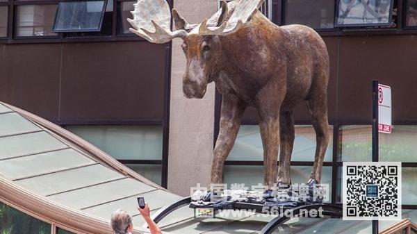 <a href='http://m.jsgfmy.com/webpage/tagsList.aspx?TagId=581'>戶外數(shù)字廣告</a>將蒙大拿廣闊天空帶到紐約,多媒體信息發(fā)布系統(tǒng),數(shù)字標(biāo)牌,數(shù)字告示，digital signage