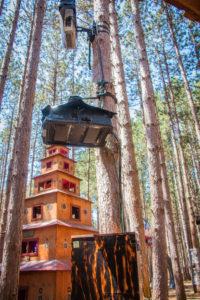 Sherwood Forest，一個重新煥發(fā)生機的奇妙森林！,多媒體信息發(fā)布系統(tǒng),數(shù)字標牌,數(shù)字告示，digital signage