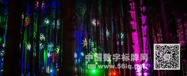 Sherwood Forest，一個重新煥發(fā)生機的奇妙森林！,多媒體信息發(fā)布系統(tǒng),數(shù)字標牌,數(shù)字告示，digital signage